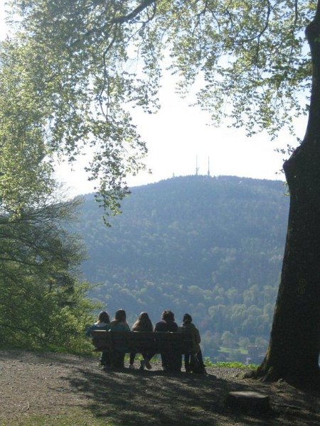 girls day 2013 002.jpg - Girls‘ Day 2013 im Forstrevier Handschuhsheim beim Landschafts- und Forstamt der Stadt Heidelberg. (Foto: Stadt Heidelberg)